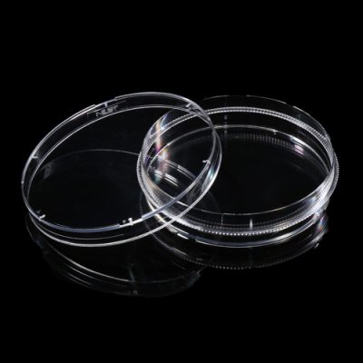 Cell Culture Dishes