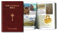 Large Catholic Bible - Burgundy (LARGE TYPE) Gift Boxed  (44991)