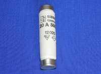 Fuse  20 Amp NDZ