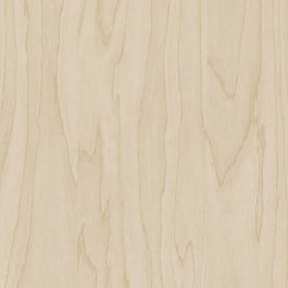 Gold Pale Birch - CT19