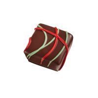 Joseph - salted caramel ganache in dark chocolate 11.5g - 1kg