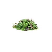 Mixed Baby Leaf Salad (500gr)