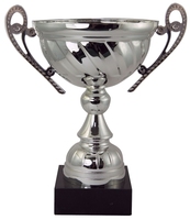 19cm Boxed Silver Cup