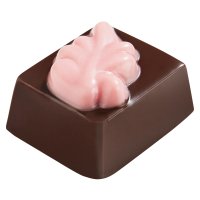 Pralibel - Melrose - dark blackcurrant ganache 17.2g x 1.2kg