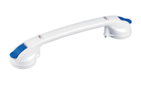 Suction Grab Rail