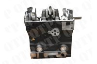 Short Motor