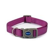 * Ancol Viva Nylon Quick-Fit Collar 20-30cm S Size 1-2 Purple x 1