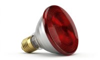 175w infrared heat lamp par38