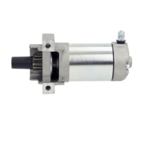 Loncin LC1P85FA Starter Motor