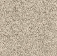 MARATHON CARPET 1321 4M