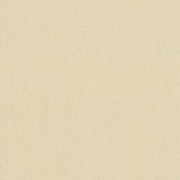 Select Colours Mountboard Fossil