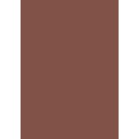 Farrow & Ball Etruscan Red Colour Swatch