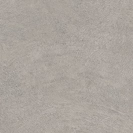 Raw Grey - NE24