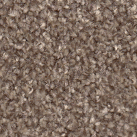 APOLLO PLUS 4M CORK OAK