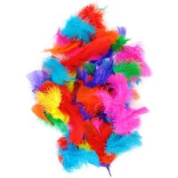 Feathers Assorted (250 piece)