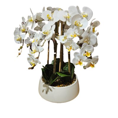 Potted Orchid - White 1