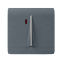 TRENDI 45 AMP SWITCH WITH NEON WARM GREY