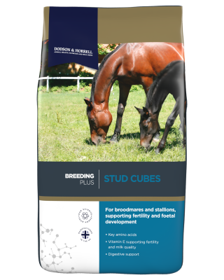 Dodson & Horrell Stud Cubes 20kg