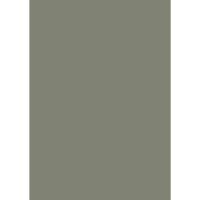 Farrow & Ball Treron Colour Swatch