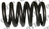 Valve Spring