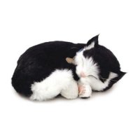 Jess the black and white cat that is velvety soft and comes with a carrying crate and bed.