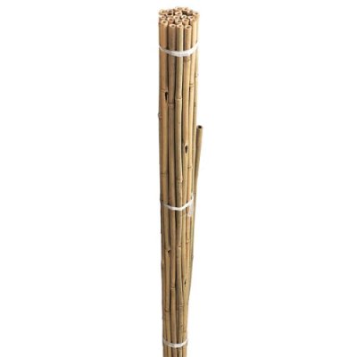 Bamboo Canes Bulk Bundle 180cm