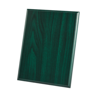 25x20cm (10x8'') Green Plaque with Strut