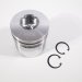 PISTON BODY C/W CLIPS