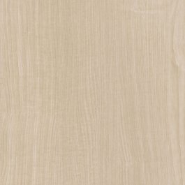 Pale Grey Maple - CT13