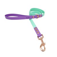Trinkety Paws City Collection Biothane Dog Lead Seafoam/Amethyst 120cm 20mm