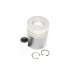 PISTON, PIN & CLIPS - ALFIN