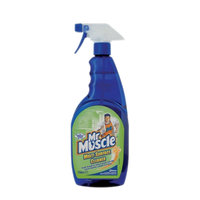 Mr Muscle Multi Surface750ml