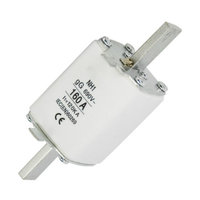 Fuse  100 Amp Knife Edge Type