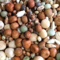 Johnston & Jeff Young Bird High Protein No Maize 20kg