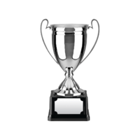 25cm Swatkins Replica Nickel Plated Cup