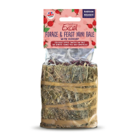 Burgess Excel Forage & Feast Mini Hay Bale with Rosehip 1x8