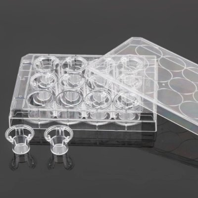 Cell Culture Inserts