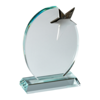 22cm Crystal Plaque with Star (Satin Box)