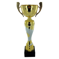 41cm Silver & Gold Metal Cup Trophy