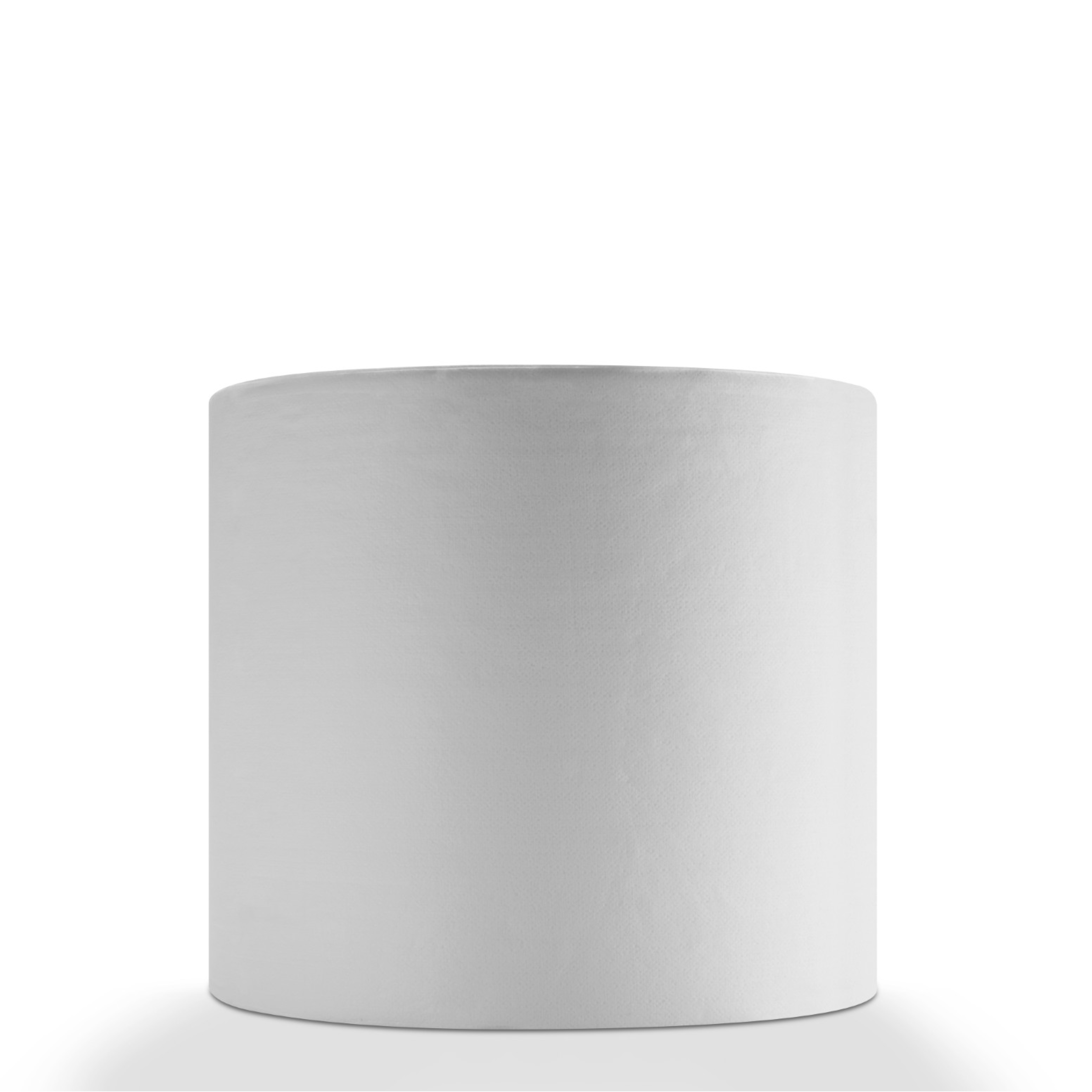 Steadfast Pro Easi-Wipes, White, Perforated Roll, 450 Sheet