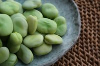 Broad Beans (Kuru Bakla) - Nefis - 1kg