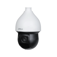 HDCVI PTZ Camera in action