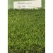 Glencoe 30MM GRASS PILE 4M X 1M