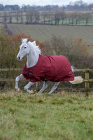 Freedom Turnout 300 155 Cherry