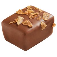 Pralibel - Filiz - milk praline with crushed feuilletine 18.3g x 1kg