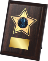12.5cm Star Plaque