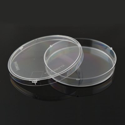 90mm Petri Dish