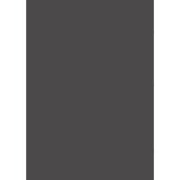 Farrow & Ball Liquorice Colour Swatch