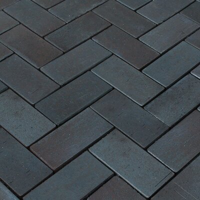 Wienerberger Olsburg Clay Paver 200mm x 100mm x 52mm