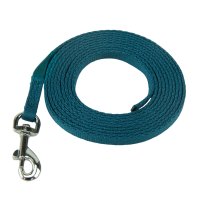 Coachi Puppy & Mini Training Line 2.5 metre Teal x 1
